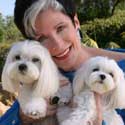 Dogs image 1